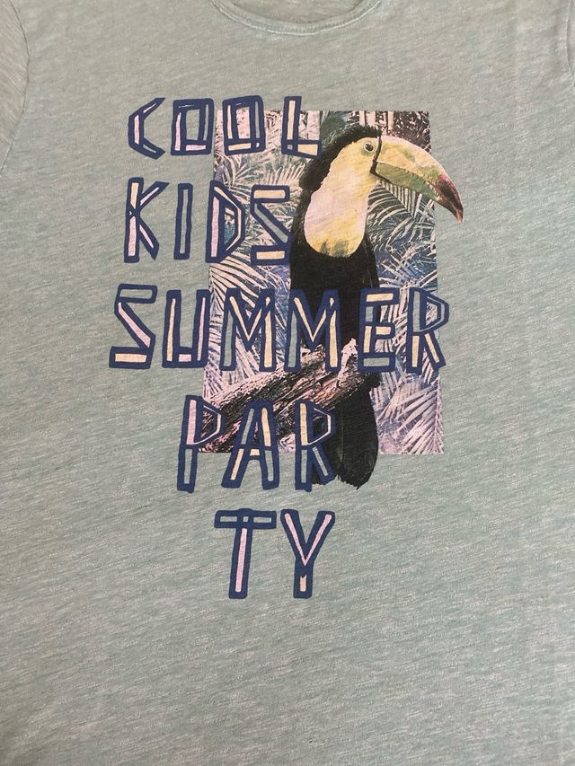 Camiseta tucán de Zara