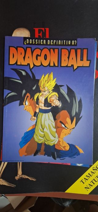 Dragon Ball ¿Dossier Definitivo?