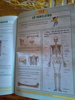 Quaderno di Matematica e Scienze 