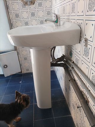 Lavabo Roca pedestal en  blanco
