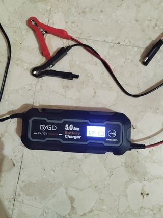 Cargador Baterías BYGD 5A 6/12V