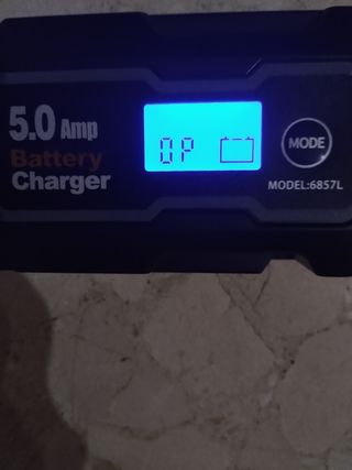 Cargador Baterías BYGD 5A 6/12V