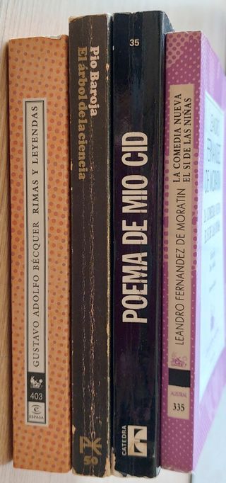 Lote 4 libros Literatura clásica española