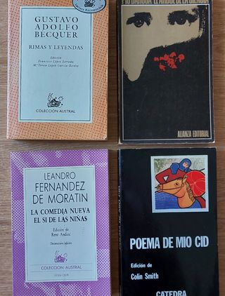 Lote 4 libros Literatura clásica española