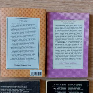 Lote 4 libros Literatura clásica española