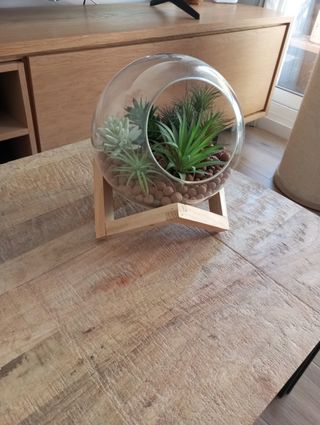 Terrario de cristal con plantas artificiales