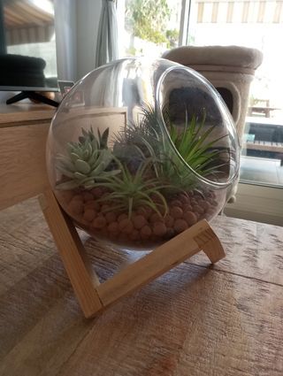 Terrario de cristal con plantas artificiales