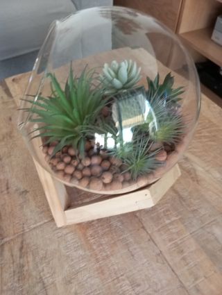 Terrario de cristal con plantas artificiales