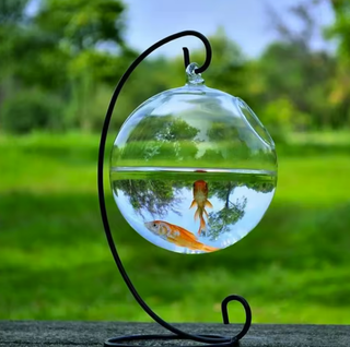 Acquario rotondo in vetro sospeso