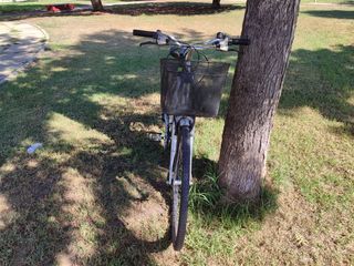 Bicicleta Biker - Urbana