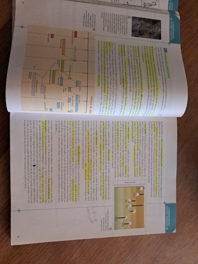 Filosofía y Ciudadania 1º Bachillerato