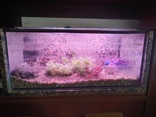 Acuario granito marrón-gris
