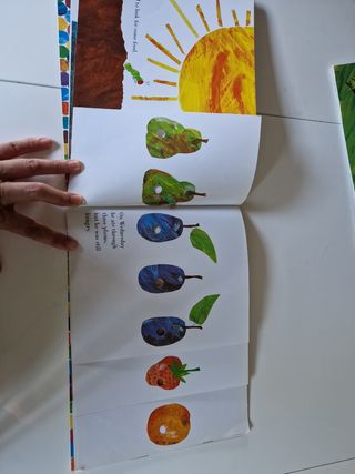 the-very-hungry-caterpillar
The Bad tempered Ladyb