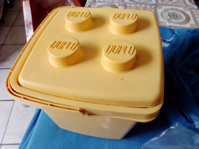 Mattoncini Duplo colorati