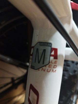 Cannondale SL3 Mountain Bike