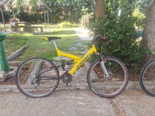 Bicicleta de montaña