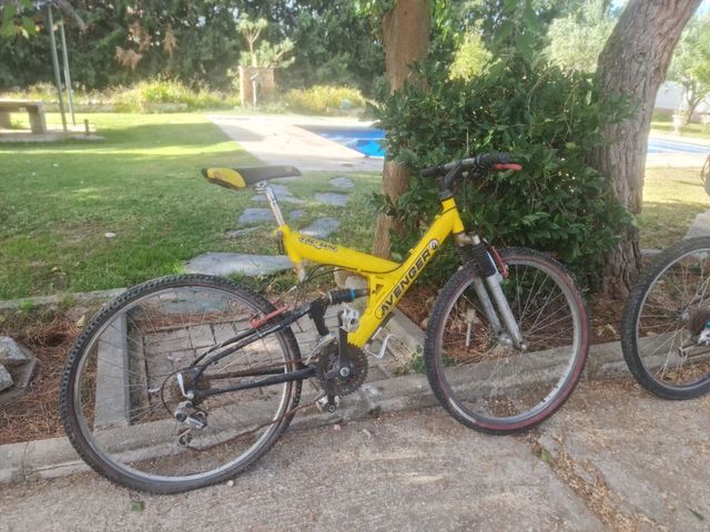 Bicicleta de montaña