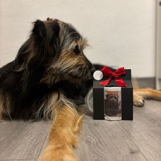 taza personalizada mascota-regalo original
