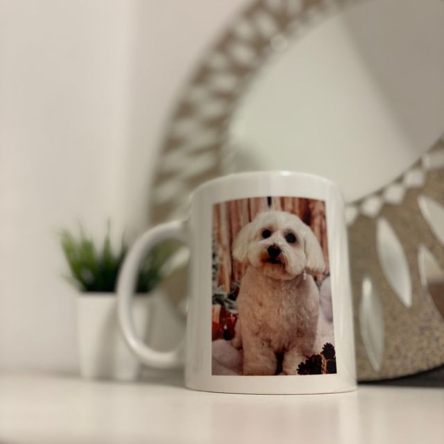 taza personalizada mascota-regalo original