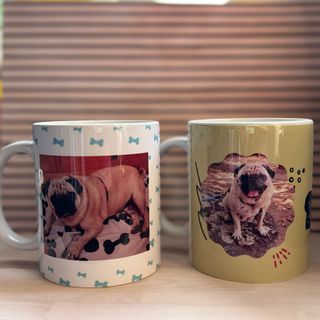 taza personalizada mascota-regalo original