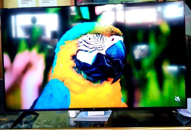 TV LED 50"XIAOMI P1 4K UHD NUEVA A ESTRENAR