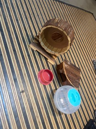 Kit hámster: rueda, casita, comedero