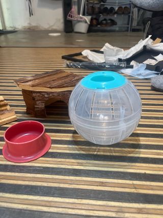 Kit hámster: rueda, casita, comedero