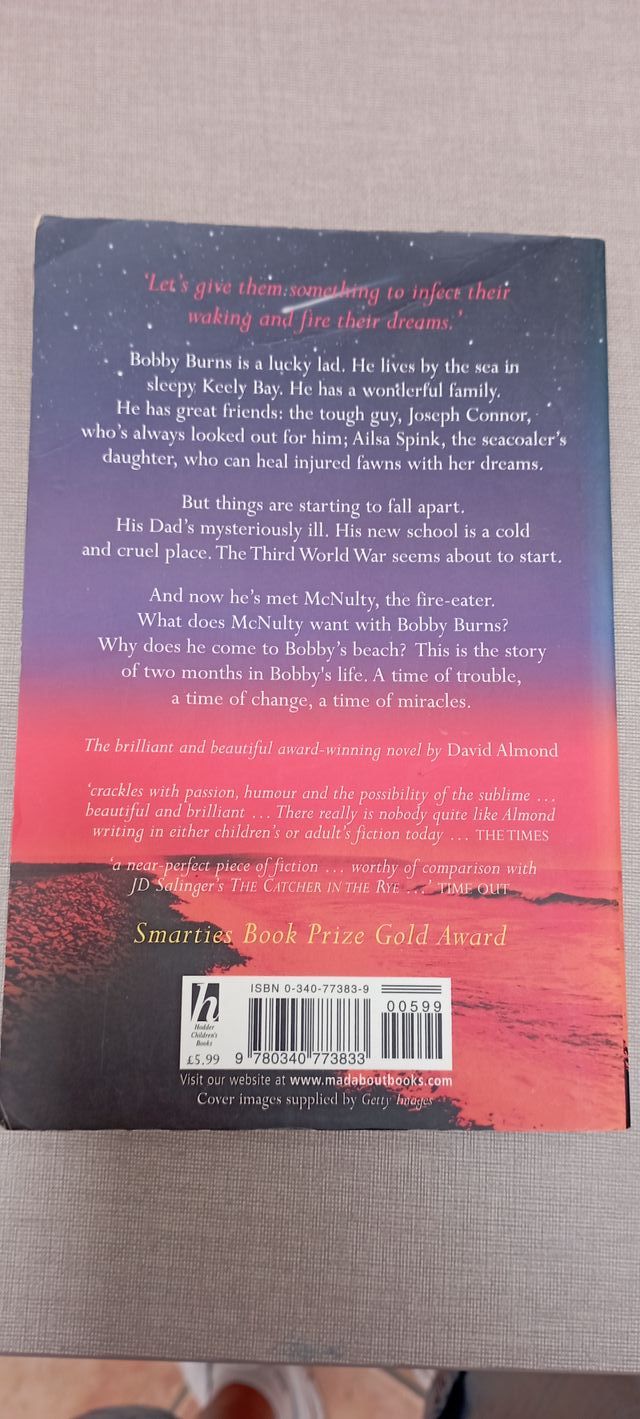 Lote de libros en inglés 