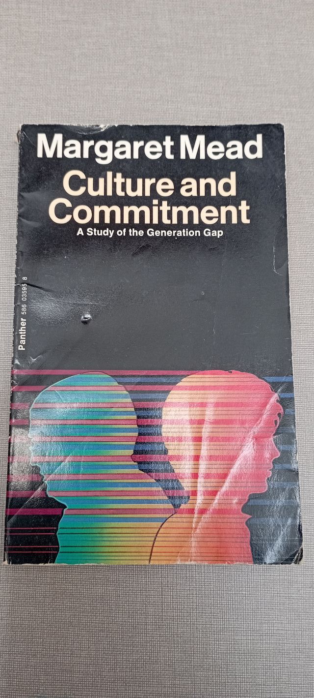 Lote de libros en inglés 