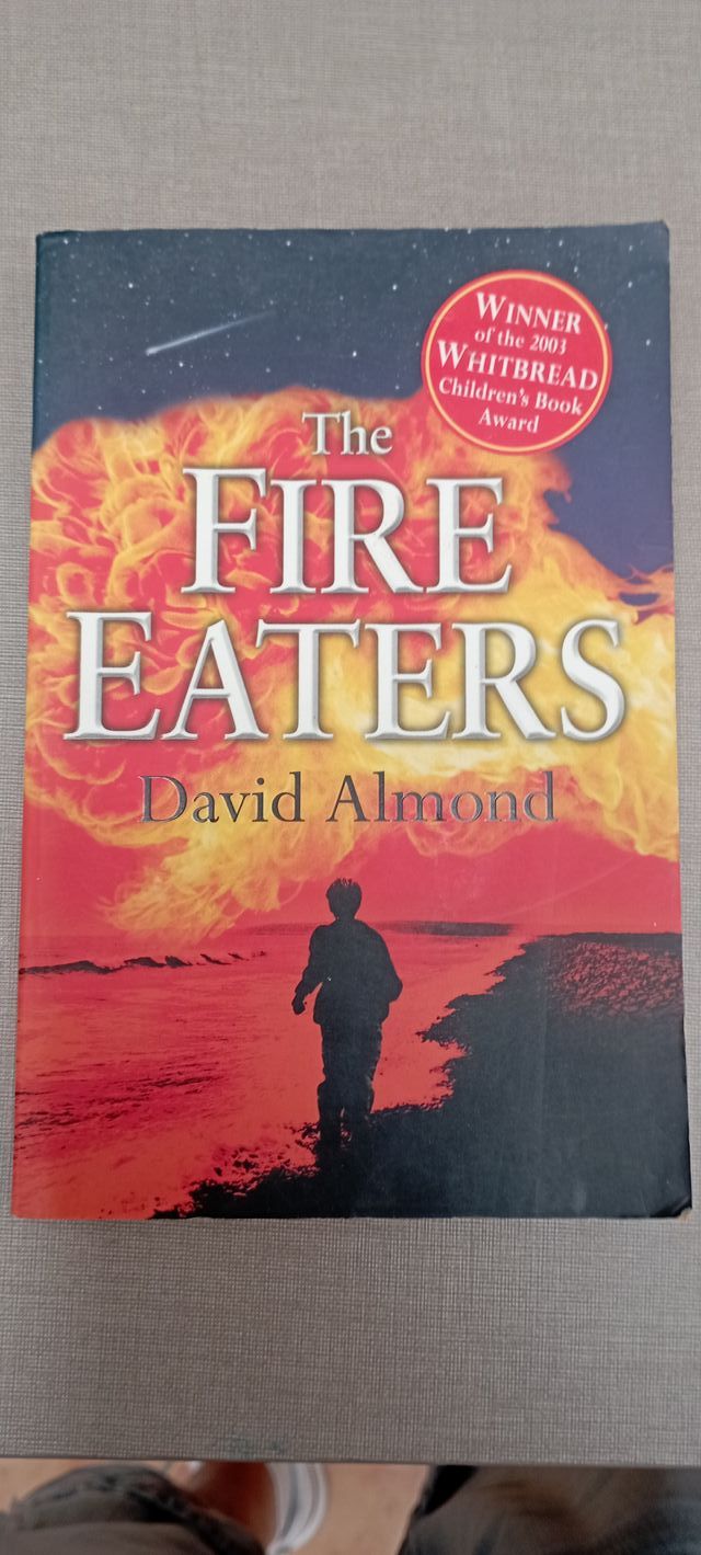 Lote de libros en inglés 