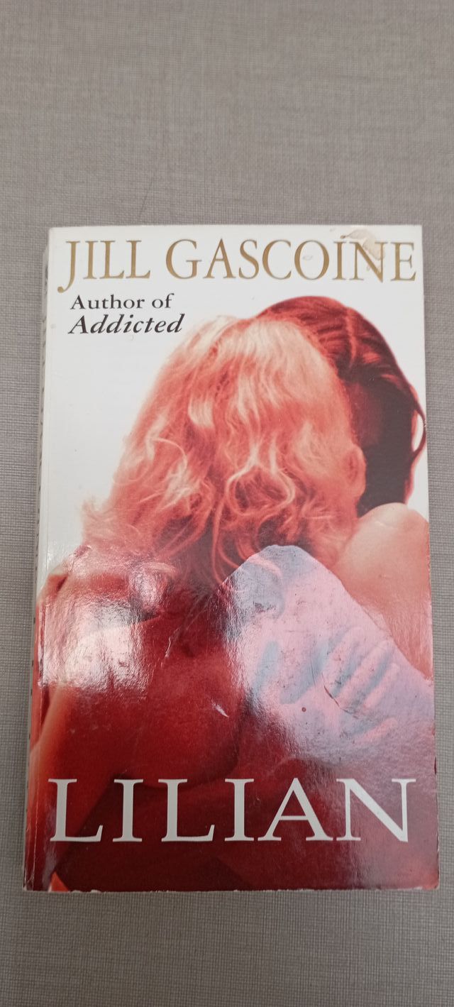 Lote de libros en inglés 