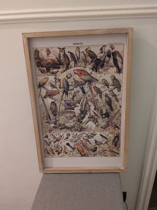 Cuadro vintage aves
