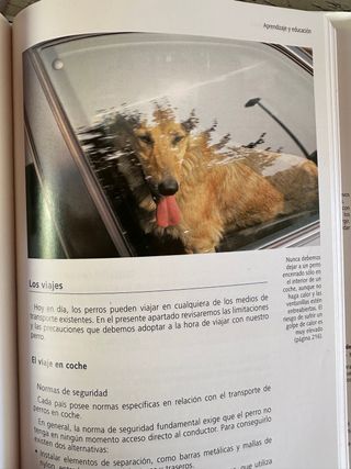 El Perro: Educacion y Cuidados (Incluye el Dvd:...