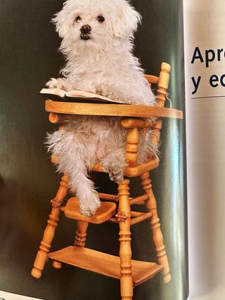 El Perro: Educacion y Cuidados (Incluye el Dvd:...