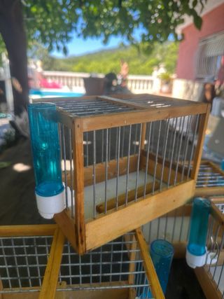 4 Jaulas pájaros madera precio por todas 