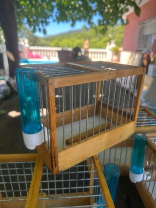 4 Jaulas pájaros madera precio por todas 