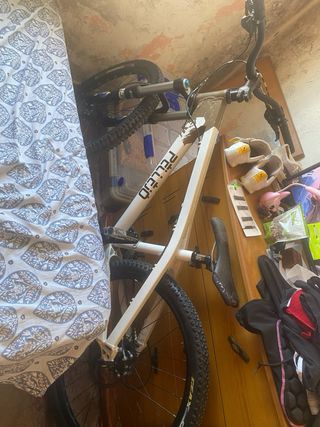 Bicicleta orbea pellejo escucho ofertas
