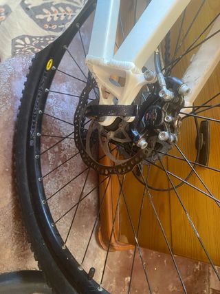 Bicicleta orbea pellejo escucho ofertas