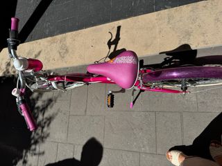 Bicicleta niña 20" rosa