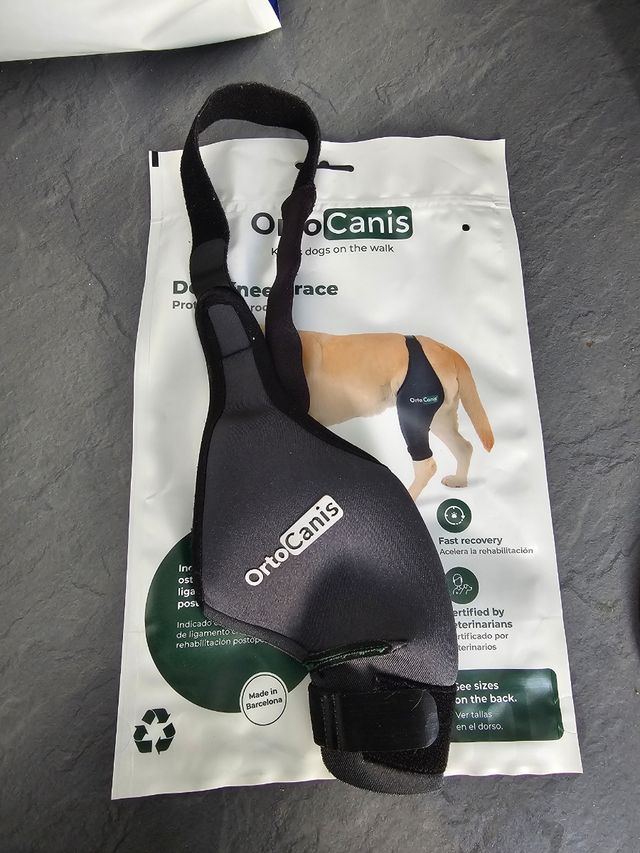 OrtoCanis - Protector rodilla perro