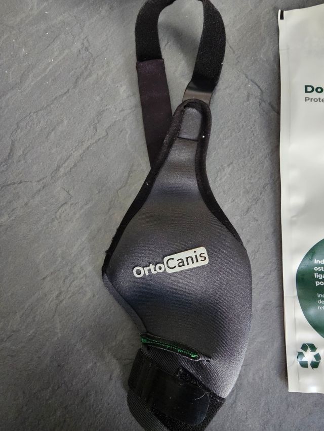 OrtoCanis - Protector rodilla perro