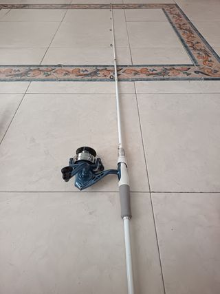 Caña de pescar + Reel