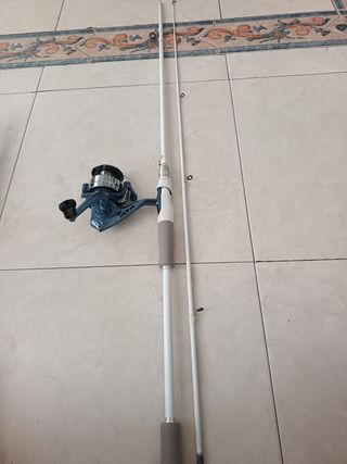 Caña de pescar + Reel