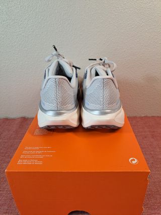 PEGASUS 41 T36.5