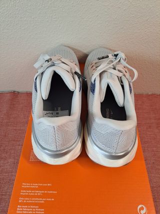 PEGASUS 41 T36.5