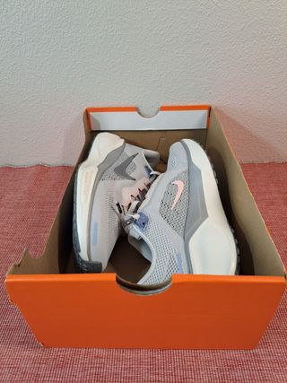 PEGASUS 41 T36.5