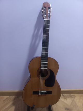 Guitarra clásica 