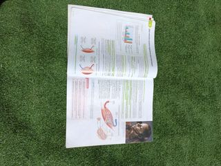 Biología y geología, Arce. 3 ESO. Savia