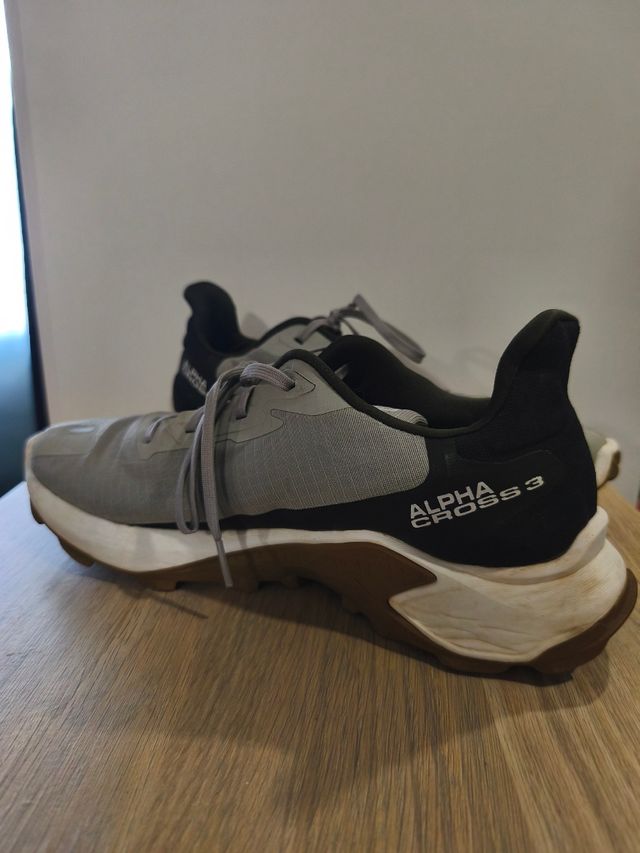 Zapatillas Salomon Alphacross 3