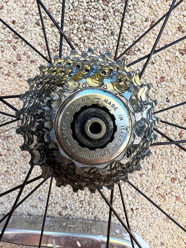 Llantas carretera Most Chal